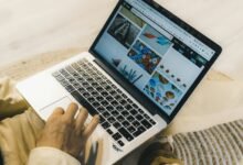 professional online web model