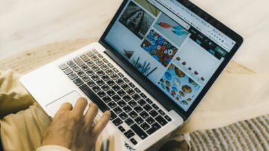 professional online web model