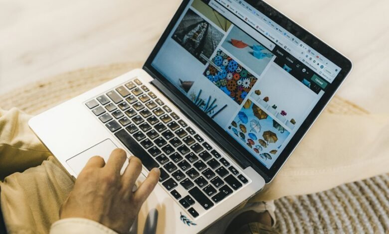 professional online web model