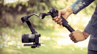 stability through professional framework